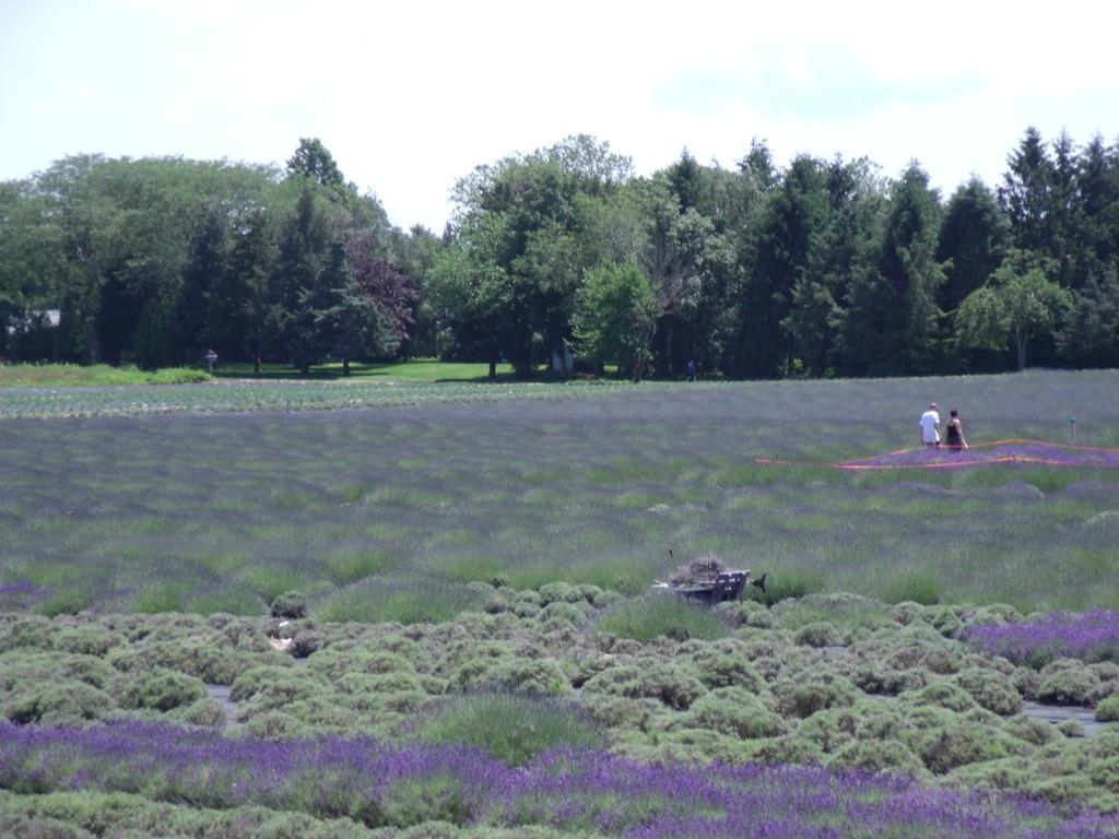 The Blue Inn At North Fork East Marion Екстериор снимка